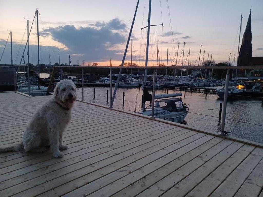 Hausboot Gluecksmomente Mit Dachterrasse In Schleswig Am Ostseefjord Schlei Екстериор снимка